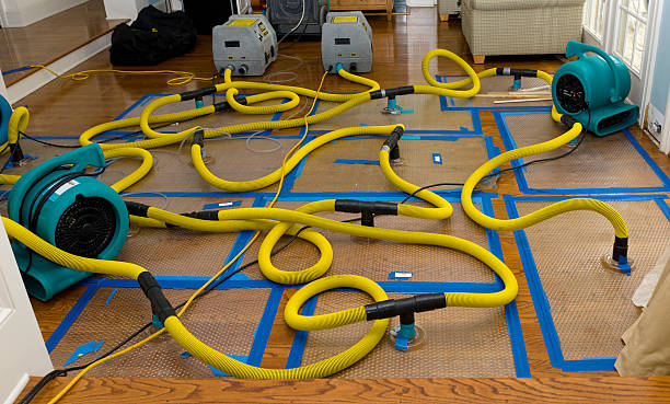 Professional Structural Drying And Dehumidification technician working in Leipsic, OH